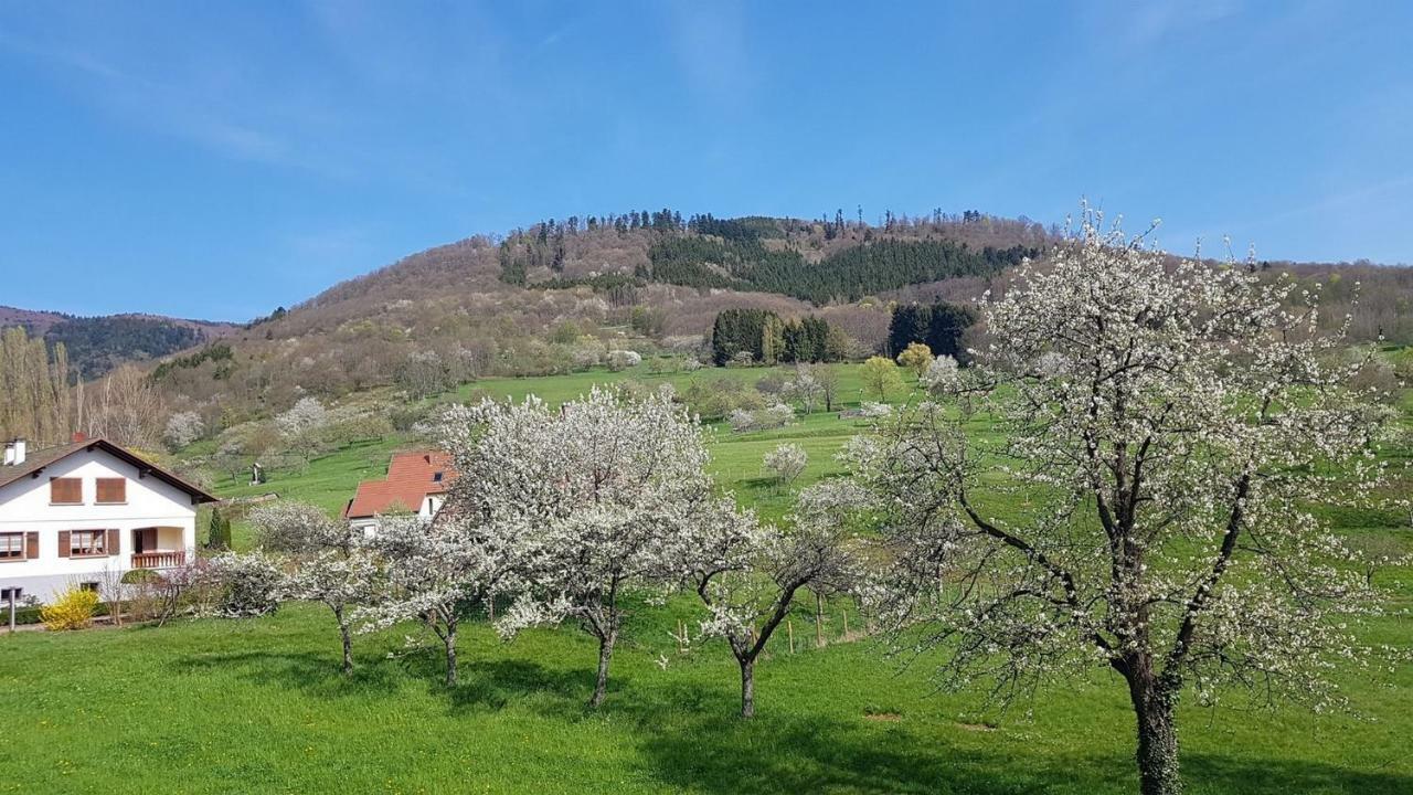 Le Breit Maison De Charme Avec Sa Dependance Breitenbach Eksteriør bilde
