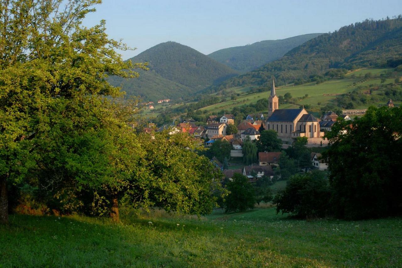 Le Breit Maison De Charme Avec Sa Dependance Breitenbach Eksteriør bilde